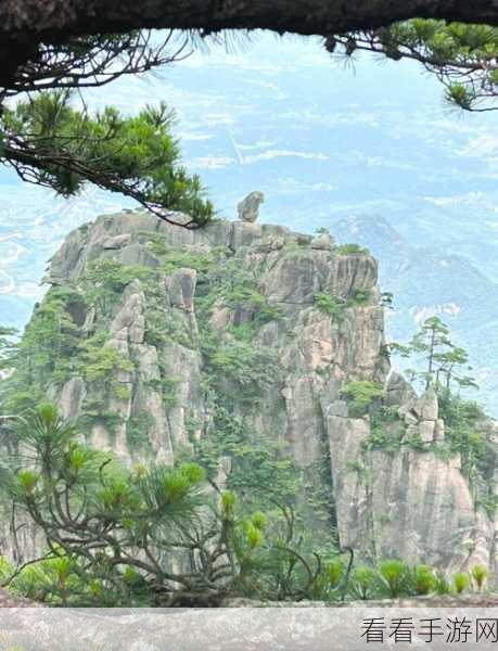 烟雨江湖登顶秘籍，揭秘回雁峰隐藏入口与攀登攻略