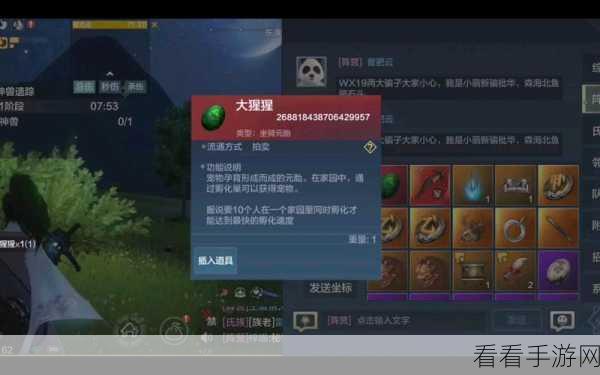 妄想山海首领图腾速刷秘籍，高效挑战攻略大揭秘
