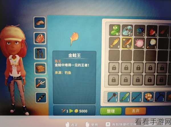 波西亚时光深度攻略，解锁灌溉器秘籍与蓝宝石矿藏探秘
