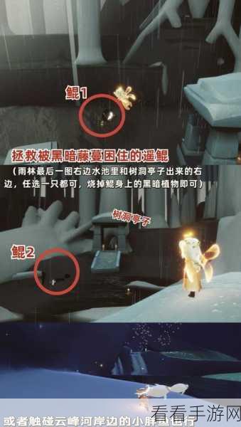 光遇红色光芒全攻略，揭秘宝藏位置，助你轻松收集！