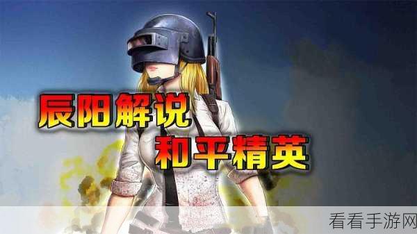 和平精英闪退终极解决方案，助你重返战场巅峰