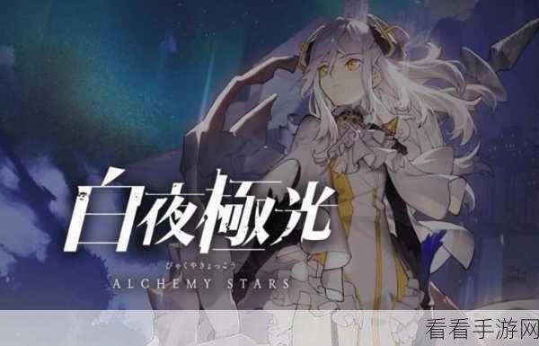 白夜极光，导航员必备的探索秘籍与实用小提示