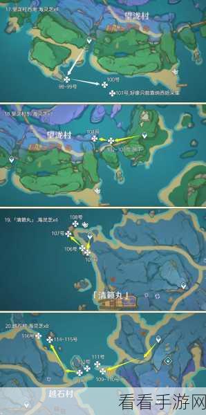 荒海秘境大揭秘，原神荒海五个机关全攻略，助你轻松解锁宝藏