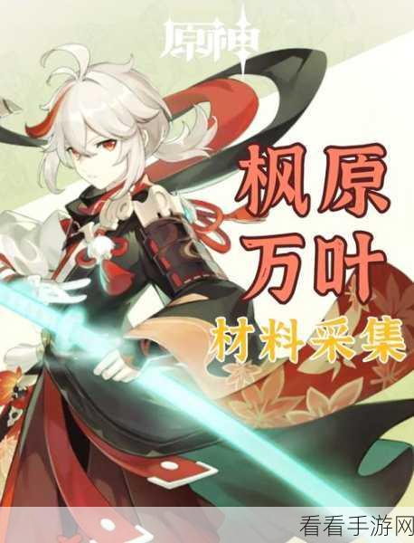 荒海秘境大揭秘，原神荒海五个机关全攻略，助你轻松解锁宝藏