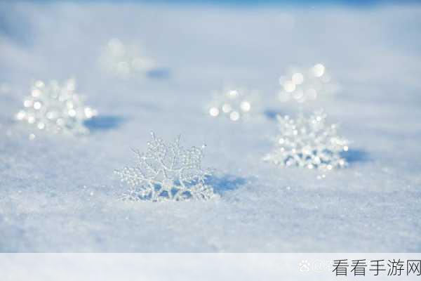 雪花纷飞，最强蜗牛商店兑换指南，解锁最优雪花兑换策略