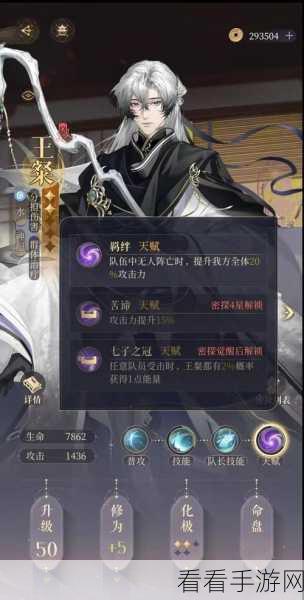手游攻略大揭秘，代号鸢华佗深度玩法与核心策略全剖析