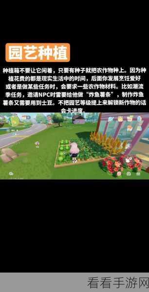 心动小镇换装秘籍，轻松找到装扮更换之处