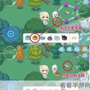 原神海螺搜集指南，全图位置分布详解，助你轻松寻宝！
