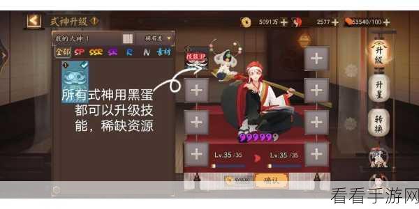 阴阳师新手必看,解锁专业术语,轻松上手攻略秘籍