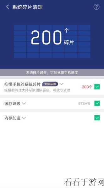 猎豹清理大师揭秘，高效软件分类技巧大公开
