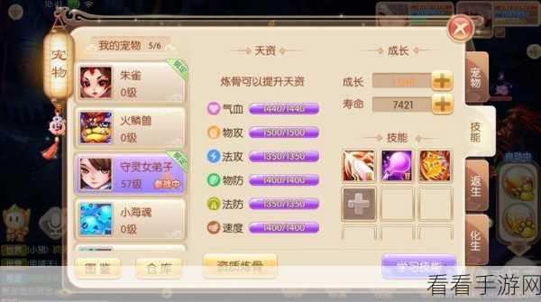 梦幻诛仙手游，PVP竞技场宠物搭配策略与实战技巧解析