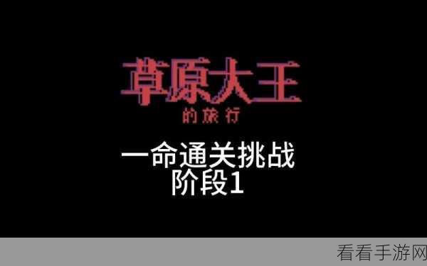 星露谷物语草原王，全面攻略助你轻松过关