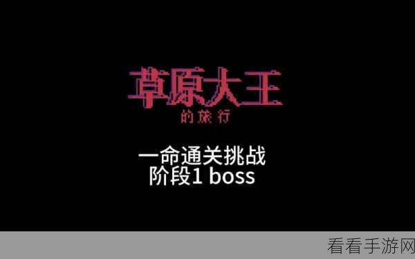 星露谷物语草原王，全面攻略助你轻松过关