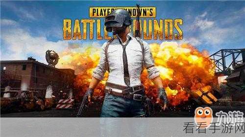 绝地求生国服Steam账号绑定全攻略，详解步骤与Q&A