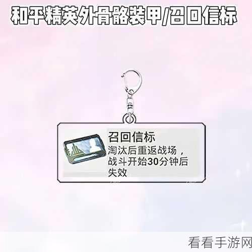 和平精英背包挂件永久性质全揭秘，珍稀挂件获取与保留攻略