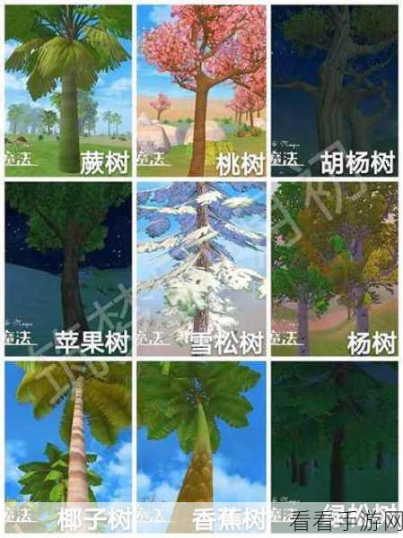 手游探索新纪元，揭秘创造与魔法龙血树之谜，争夺珍稀宝藏