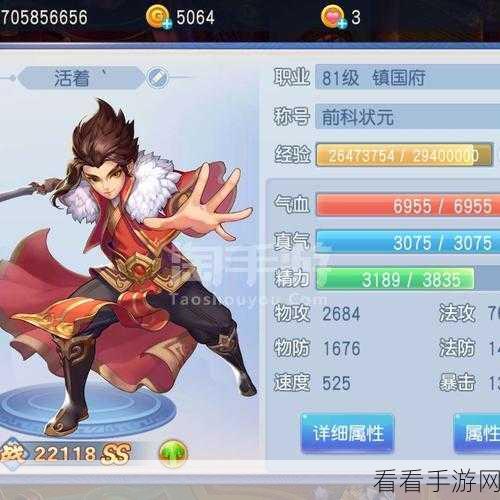 桃花源记，镇国府羽翼技能深度探秘与实战攻略
