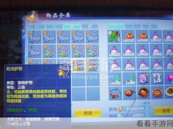 深度解析，神武4手游109级骷髅天策实战表现与策略指南
