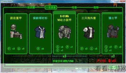 辐射避难所高手进阶，常见问题与高效解决技巧大揭秘