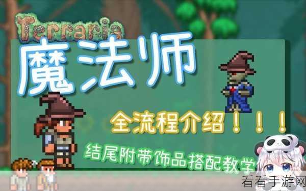 泰拉瑞亚法师全装备流派深度攻略，解锁无尽魔法的终极奥义