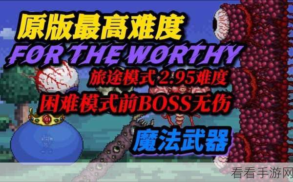 泰拉瑞亚法师全装备流派深度攻略，解锁无尽魔法的终极奥义