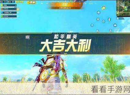 和平精英巅峰赛战队攻略，解锁高手进阶之路