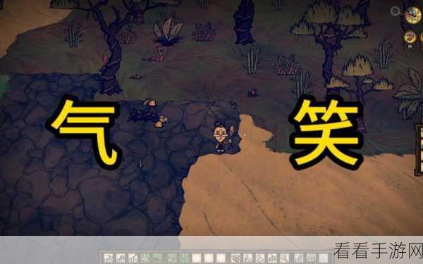 天胡开局秘籍，解锁未知升变极致策略新境界