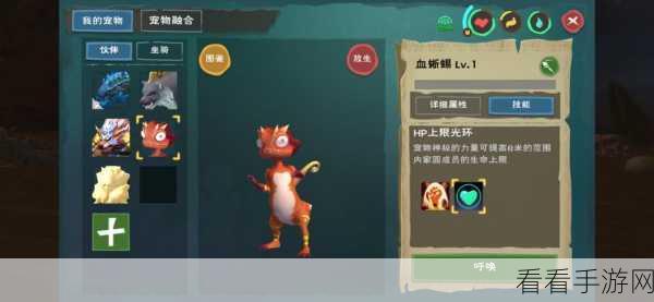 探秘创造与魔法，血蜥蜴出没地全揭秘，助你征服奇幻大陆