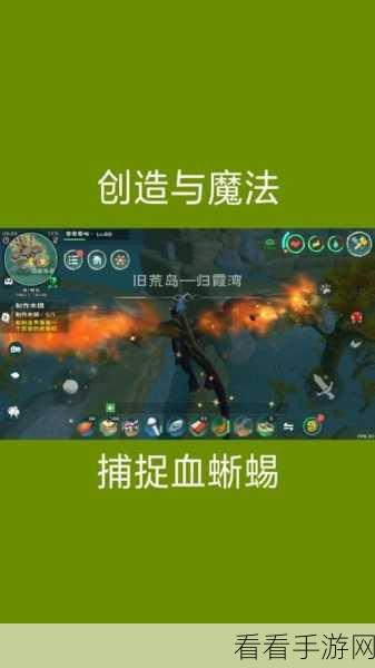 探秘创造与魔法，血蜥蜴出没地全揭秘，助你征服奇幻大陆