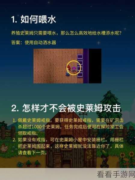 史莱姆与地下城，萌新开荒必备攻略秘籍