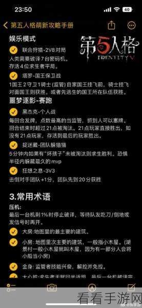 手游新手指南，小森生活萌新必看的高效入坑攻略