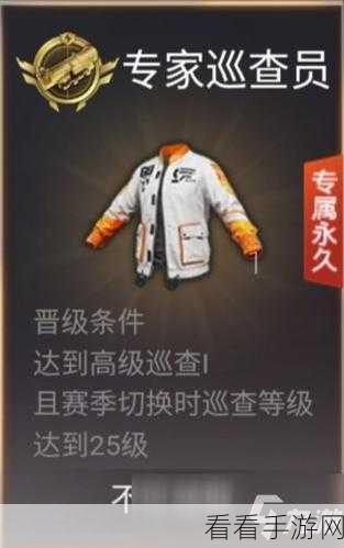 和平精英快速晋升30级攻略，解锁高级赛事的秘诀