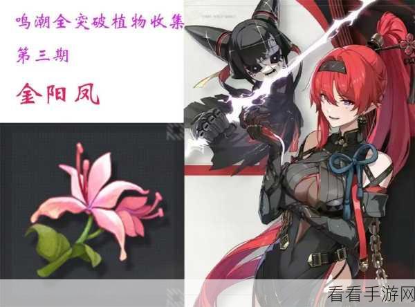 鸣潮手游金阳凤采集秘籍，分布地点全解析
