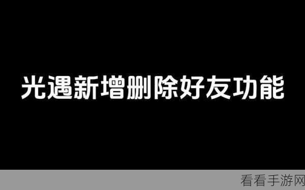 光遇好友管理指南，轻松学会删除好友技巧