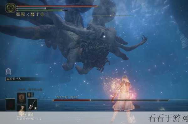 艾尔登法环 DLC，揭秘指头之母的致命弱点