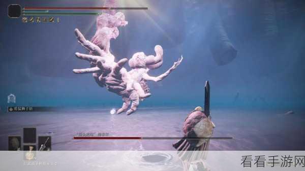 艾尔登法环 DLC，揭秘指头之母的致命弱点