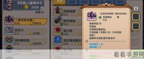 伊洛纳活动攻略，独家见解与全面指南