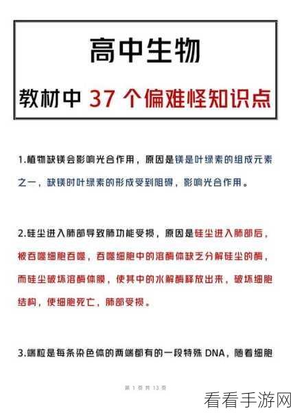 环行旅舍,摸鱼秘籍大揭秘