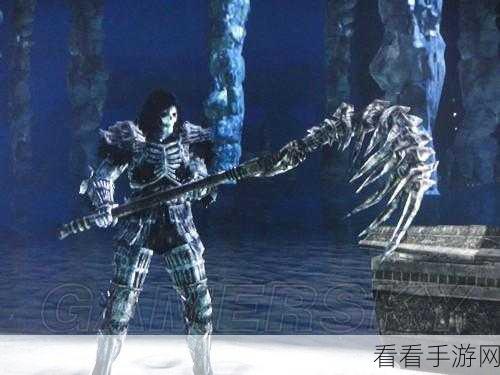 黑暗之魂 2 国王套装神秘获取秘籍大揭秘