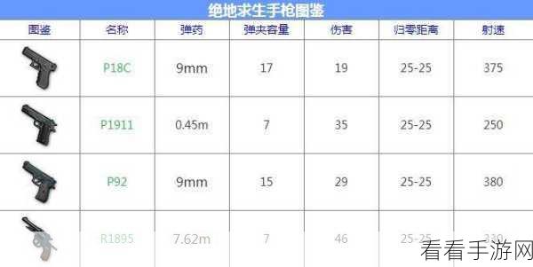绝地求生刺激战场，枪械皮肤获取终极秘籍全揭秘