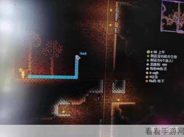泰拉瑞亚宝石树种植全攻略，开启璀璨宝藏之门