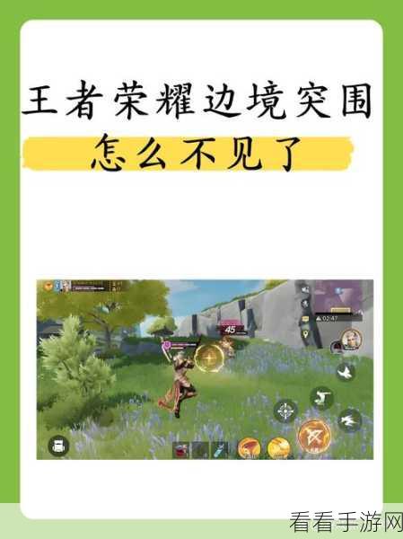 王者荣耀边境突围全解析，规则详解与战术攻略