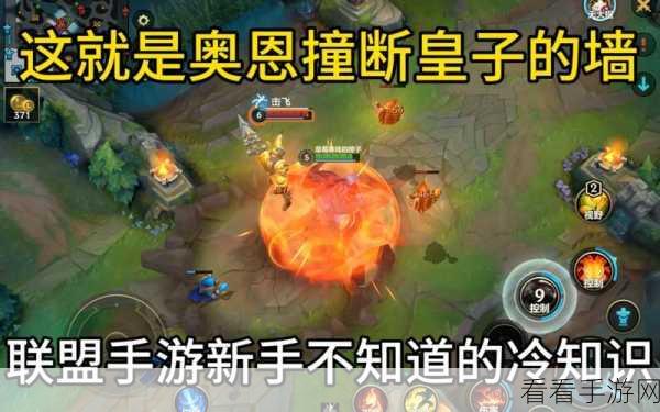 女枪皇子手游神级组合，双 C 联动制霸战场的秘诀