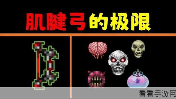泰拉瑞亚攻略，揭秘神圣连弩的获取之道及ID详情