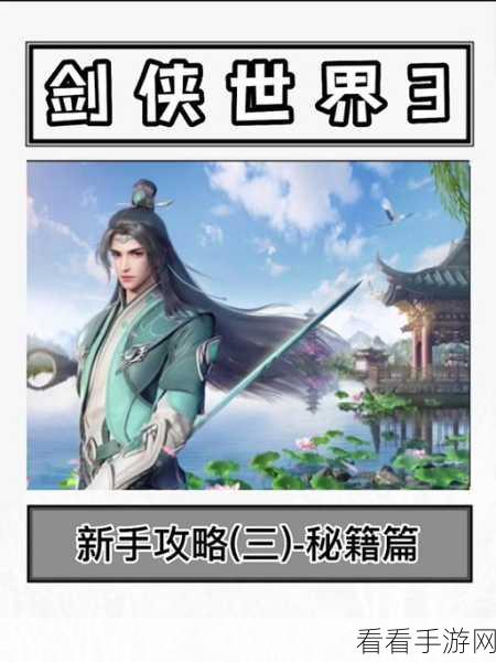 剑侠世界3精英福袋速刷攻略，解锁珍稀奖励的独家秘籍