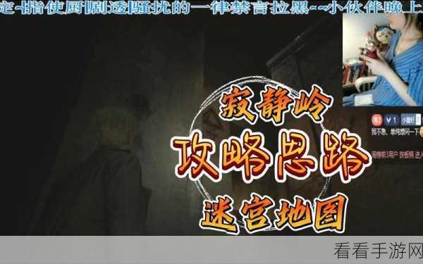 寂静岭2重生，医院迷宫密码全揭秘，深入恐惧之源的终极冒险
