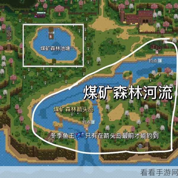 星露谷物语钓鱼秘籍，探寻比目鱼的绝佳钓点