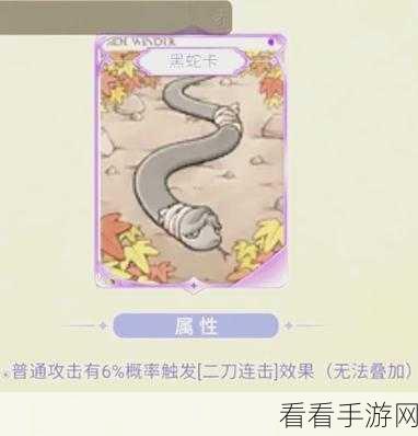 仙境传说 RO 敏骑新装备震撼揭秘，深度剖析不容错过