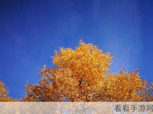 探寻瞎子皮肤的绝佳手感,你不能错过的深度剖析