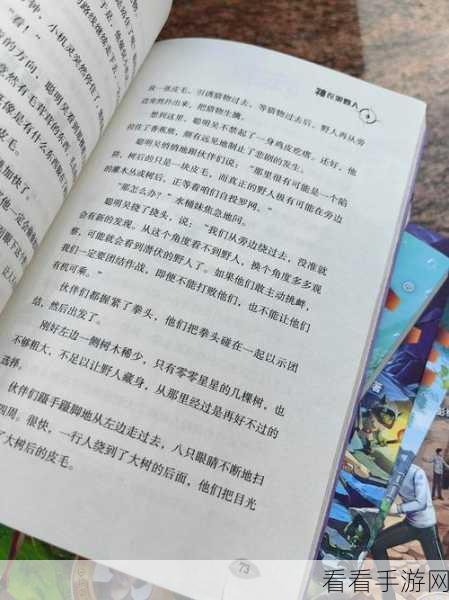 少年冒险王，骑士——王国坚不可摧的守卫者